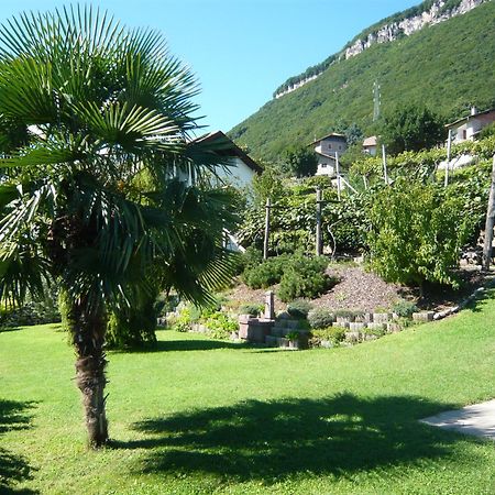 Garni Hotel Ritterhof Термено Экстерьер фото